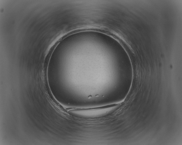 X0000068811460200605121238