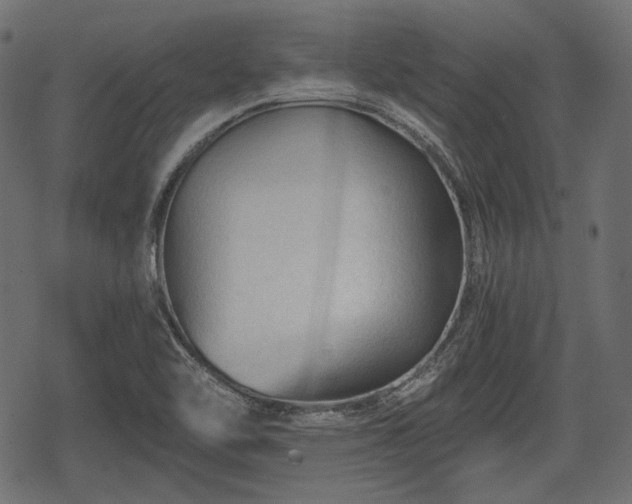 X0000068811462200605121238