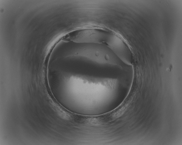 X0000068811463200605121238