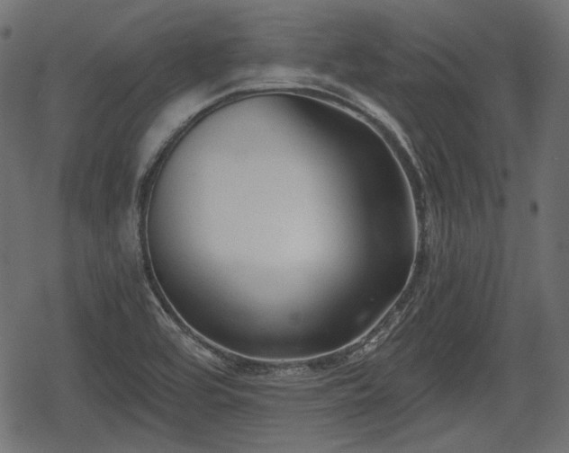 X0000068811464200605121238