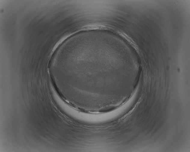 X0000068811465200605121238