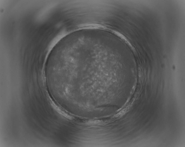 X0000068811466200605121238