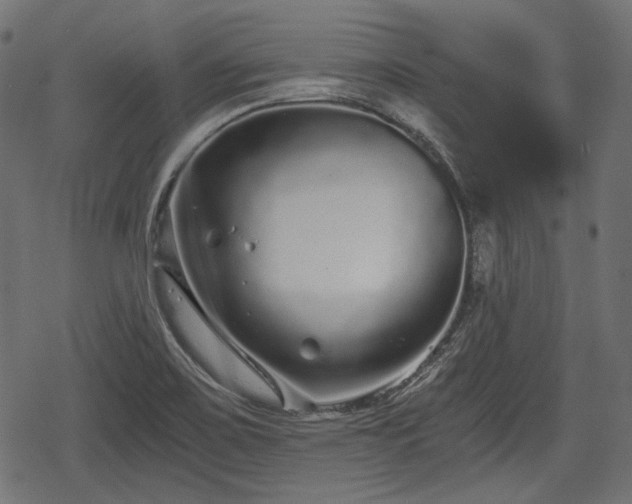 X0000068811467200605121238