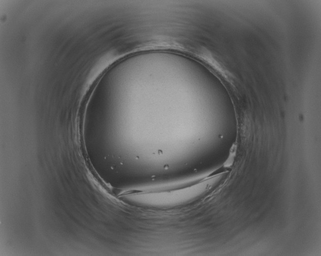 X0000068811468200605121238