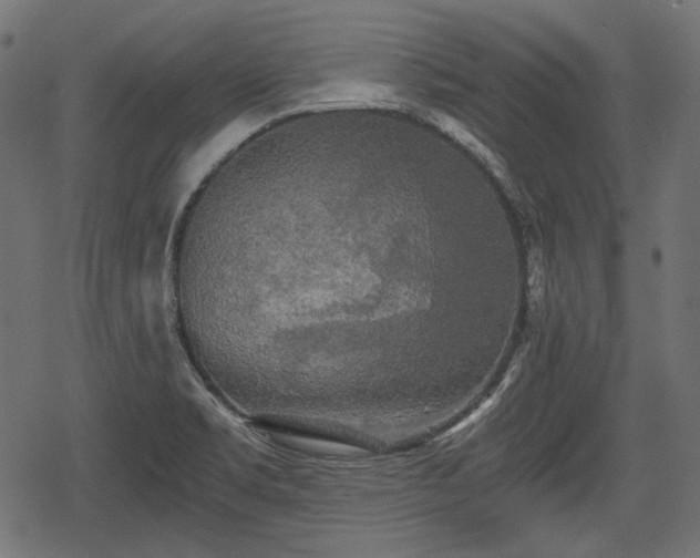 X0000068811469200605121238