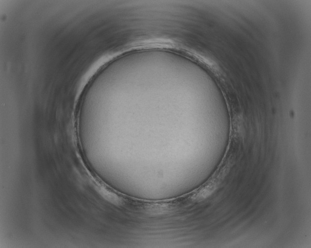 X0000068811470200605121238