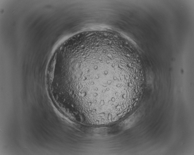 X0000068811471200605121238