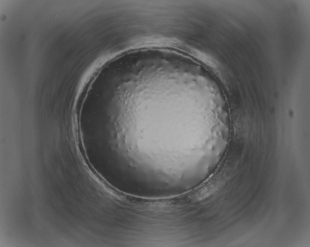 X0000068811472200605121238