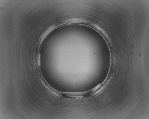 X0000068811473200605121238