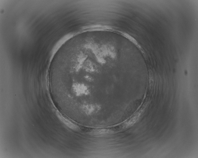 X0000068811474200605121238