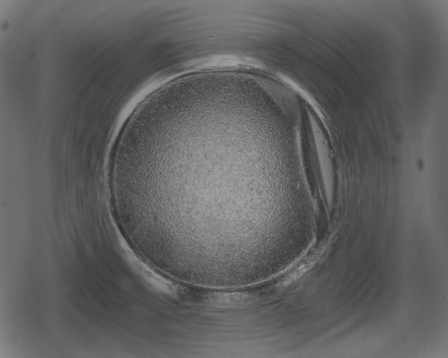 X0000068811475200605121238