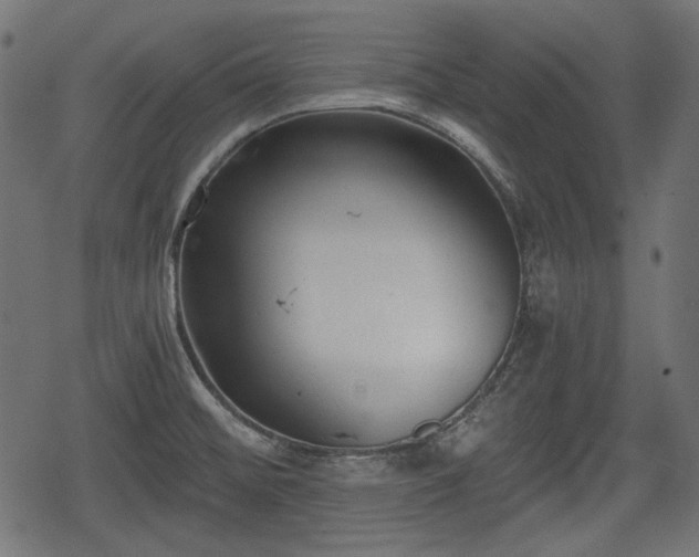 X0000068811476200605121238