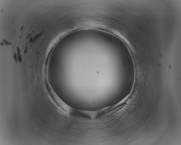 X0000068811477200605121238