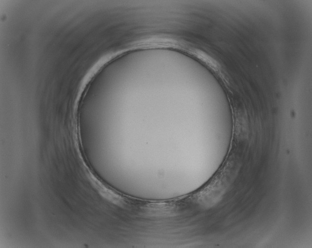 X0000068811478200605121238