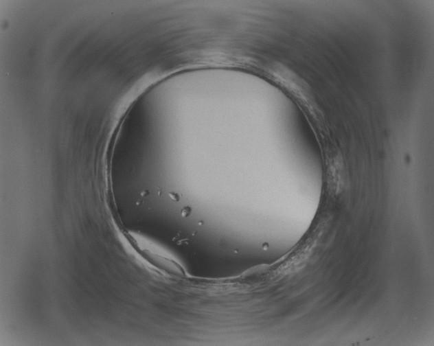 X0000068811479200605121238