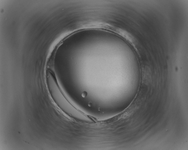 X0000068811480200605121237