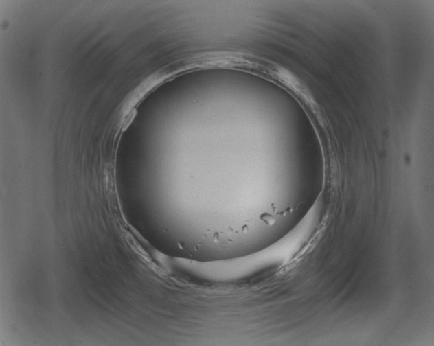 X0000068811481200605121237