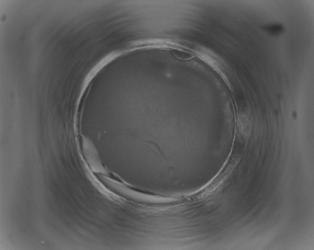 X0000068811482200605121237