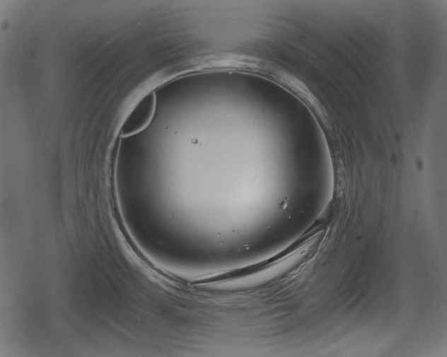 X0000068811483200605121237