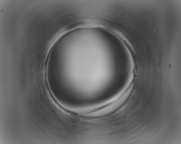 X0000068811484200605121237