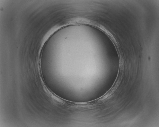 X0000068811486200605121237