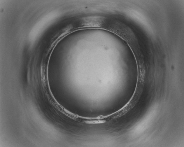 X0000068811487200605121237