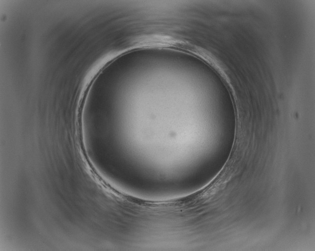 X0000068811488200605121237