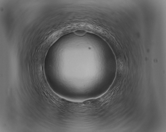 X0000068811489200605121237