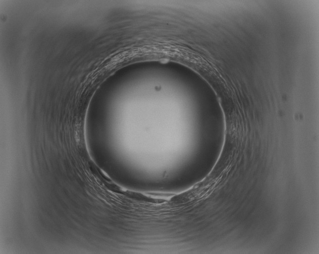 X0000068811490200605121237