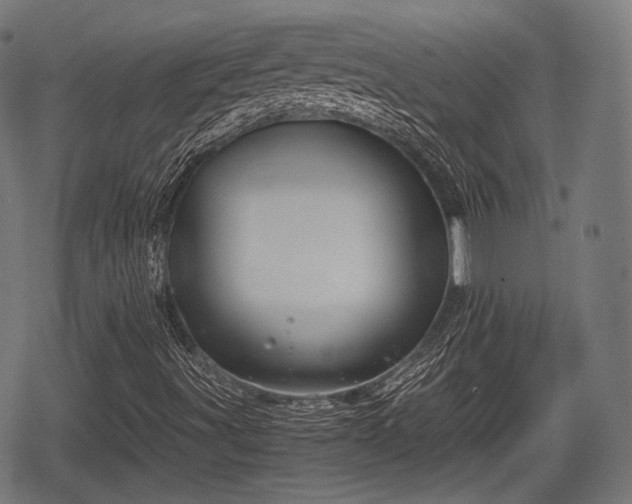 X0000068811491200605121237