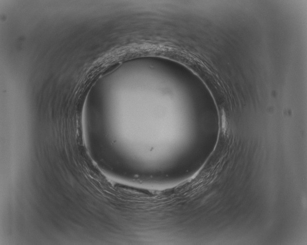 X0000068811492200605121237