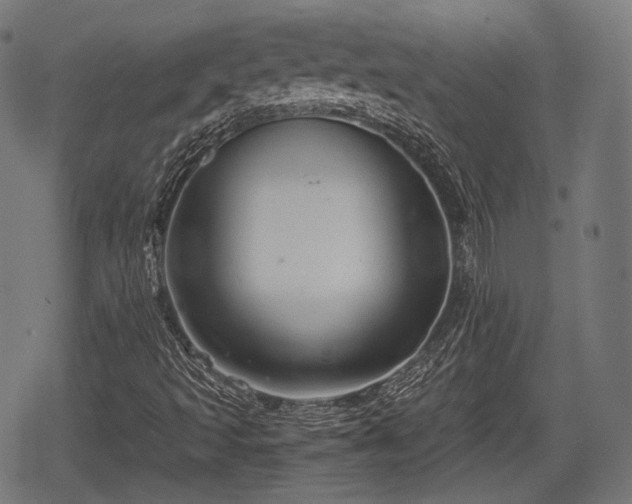 X0000068811493200605121237