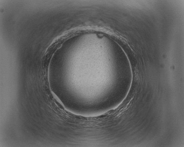 X0000068811494200605121237