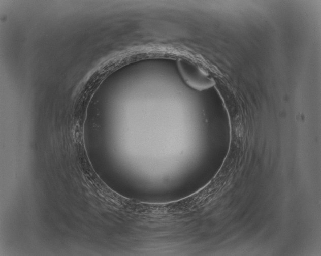 X0000068811495200605121237