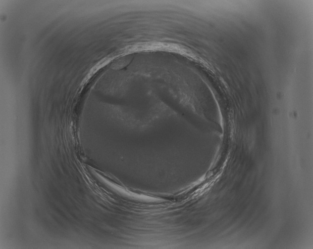 X0000068811497200605121237