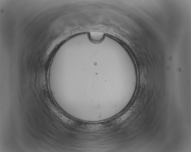 X0000068811498200605121237