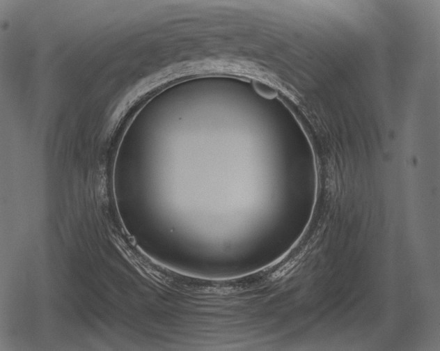 X0000068811499200605121237