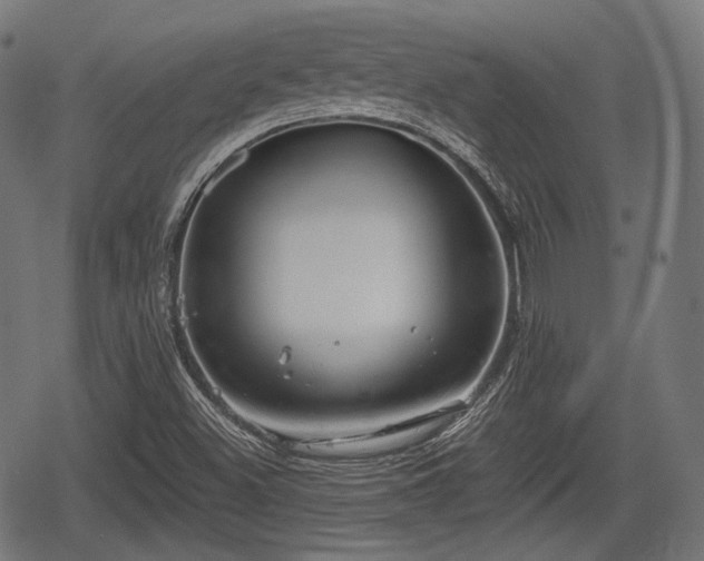 X0000068811500200605121237