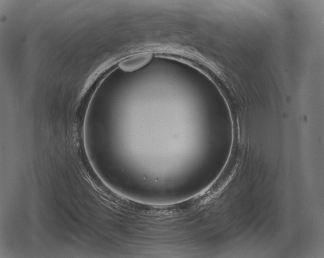 X0000068811501200605121237