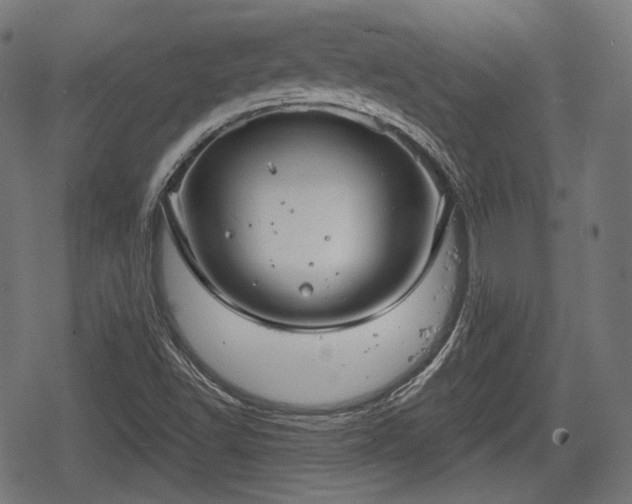 X0000068811502200605121237