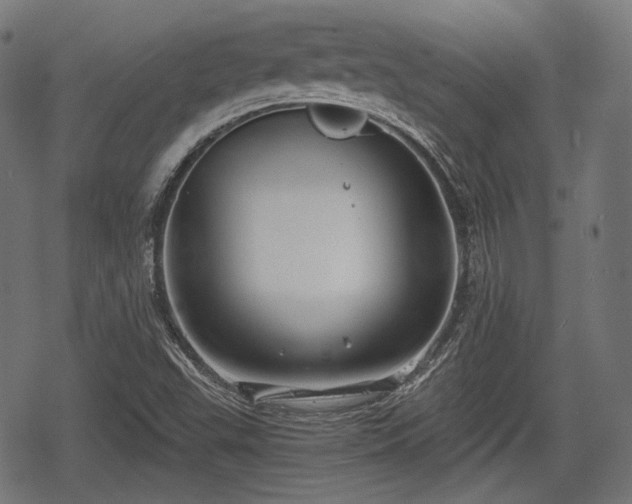 X0000068811503200605121237