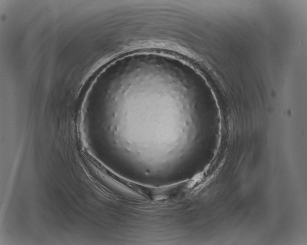 X0000068811505200605121237