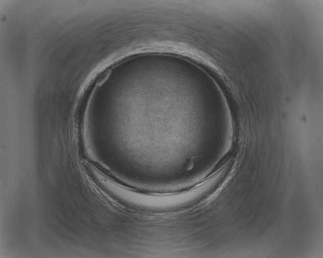 X0000068811506200605121237