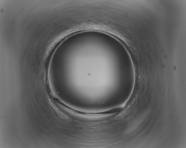 X0000068811507200605121237