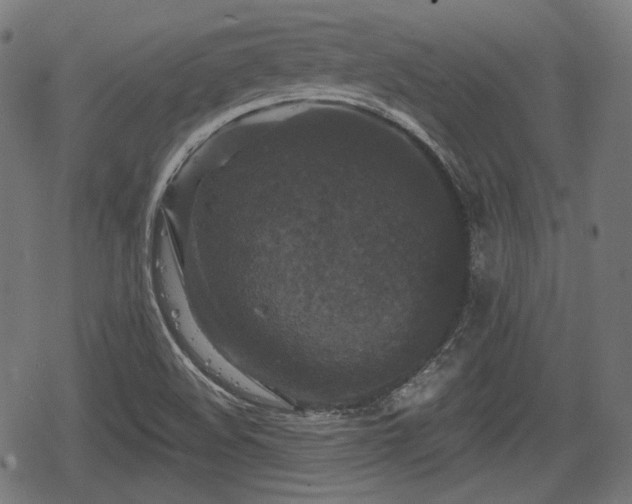 X0000068811508200605121237