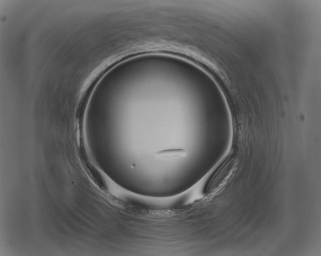 X0000068811509200605121237