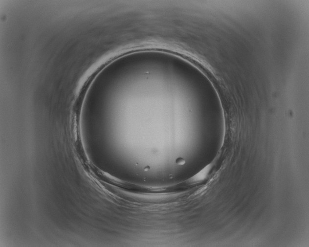 X0000068811510200605121237