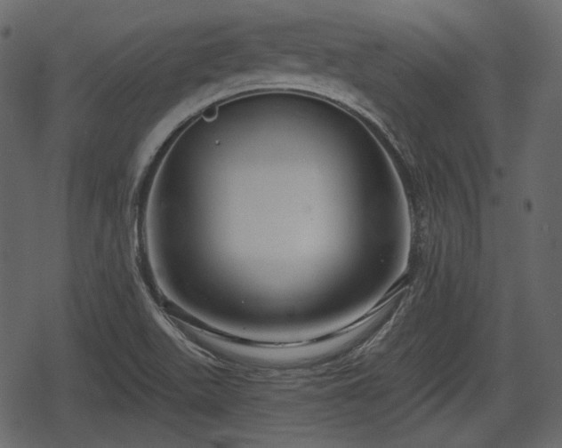 X0000068811511200605121237