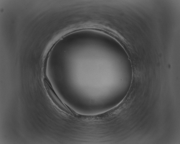 X0000068811512200605121237