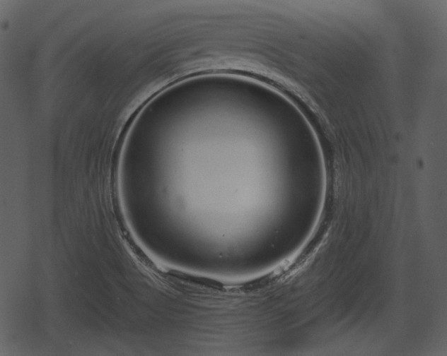 X0000068811513200605121237